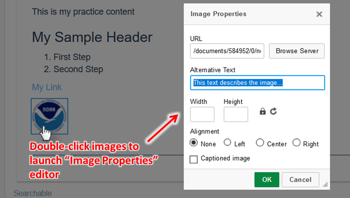 Edit the image properties by double-clicking on the image