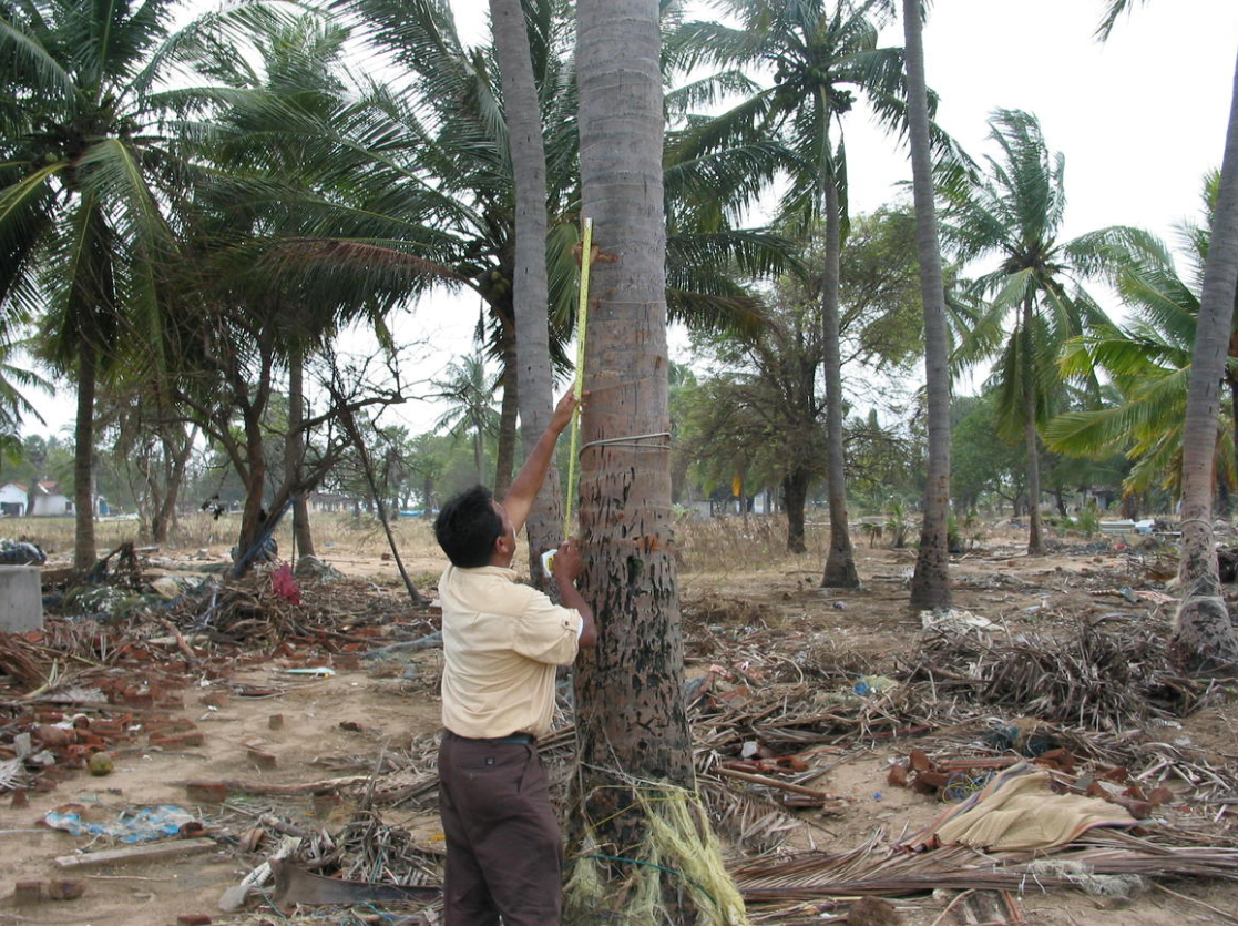 indian ocean tsunami 2004 pictures